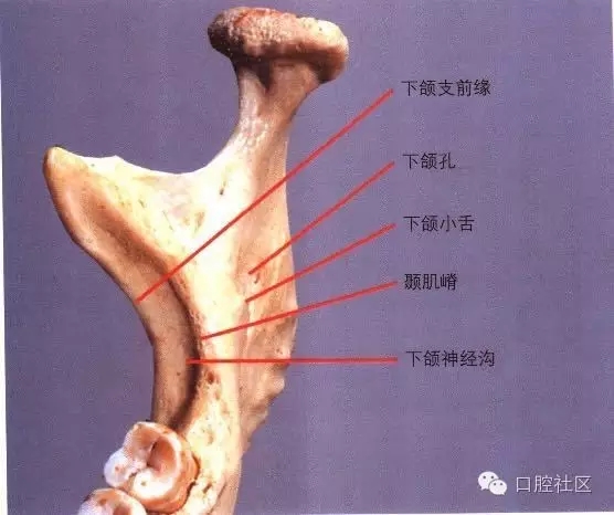 口腔醫(yī)生必讀：&ldquo;急診搶救&rdquo;預(yù)案