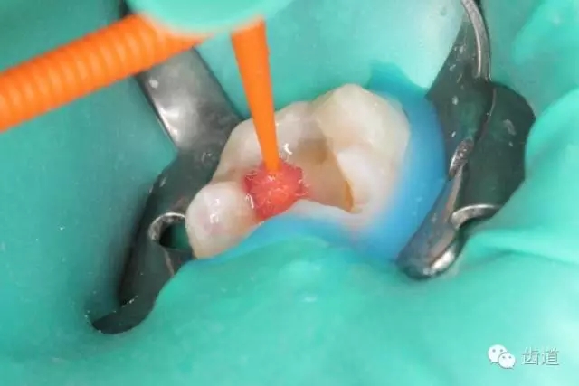 640.webp (44).jpg 640.webp (44).jpg