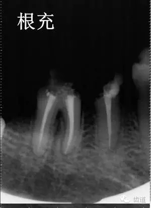 640.webp (11).jpg 640.webp (11).jpg