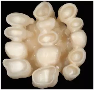 640.webp (30).jpg 640.webp (30).jpg