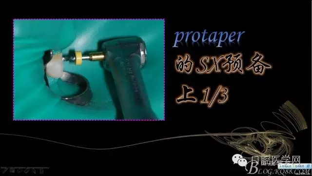 640.webp (12).jpg 640.webp (12).jpg