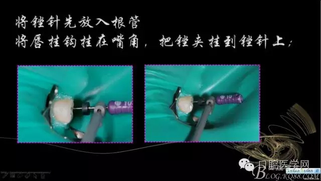 640.webp (16).jpg 640.webp (16).jpg