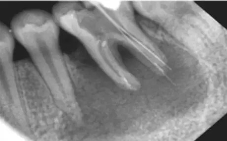 640.webp (1).jpg 640.webp (1).jpg