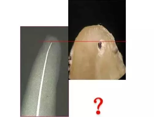 640.webp (2).jpg 640.webp (2).jpg