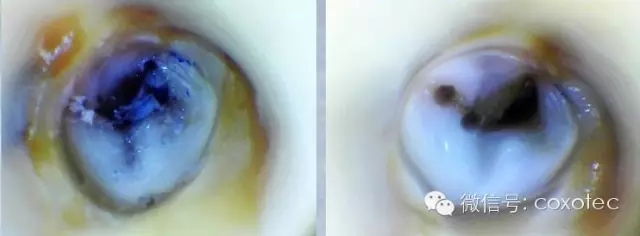 640.webp (2).jpg 640.webp (2).jpg