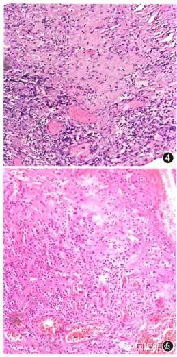 640.webp (4).jpg 640.webp (4).jpg