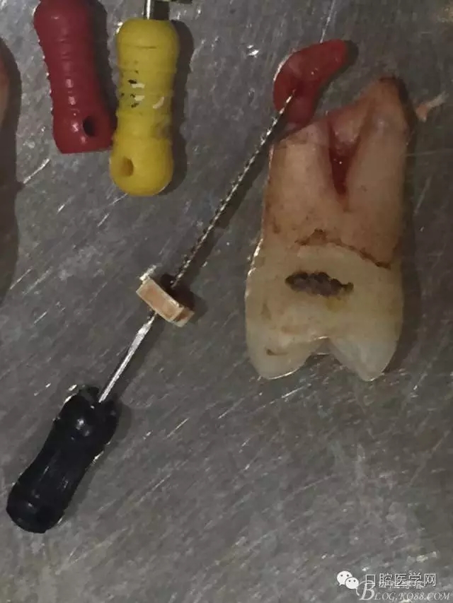 640.webp (3).jpg 640.webp (3).jpg