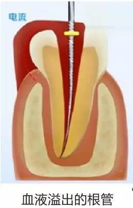 640 (1).jpg 640 (1).jpg