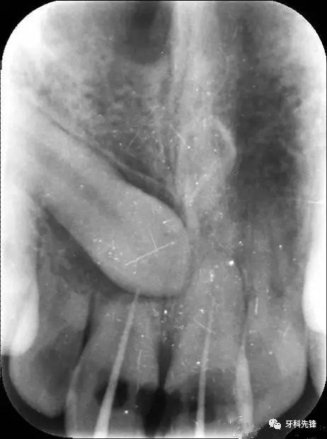 640.webp.jpg 640.webp.jpg