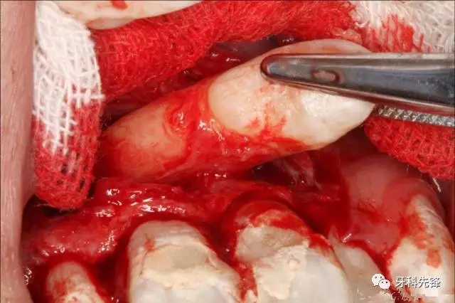 640.webp (7).jpg 640.webp (7).jpg