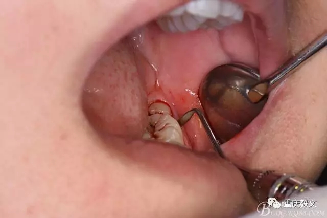 640.webp (5).jpg 640.webp (5).jpg