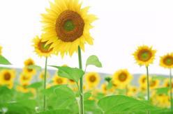 360截圖20170120112537599.jpg 360截圖20170120112537599.jpg