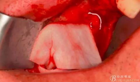 360截圖20170120155754092.jpg 360截圖20170120155754092.jpg