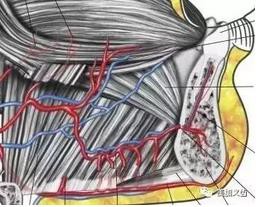 牙醫(yī)引以為戒&mdash;&mdash;日本植牙手術(shù)死亡事件