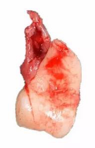 360截圖20170124104427086.jpg 360截圖20170124104427086.jpg