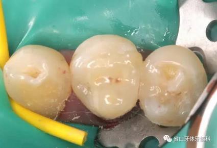 360截圖20170124165859559.jpg 360截圖20170124165859559.jpg