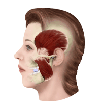 VOL~0H()OQ`W7(S((I%PB2T.png VOL~0H()OQ`W7(S((I%PB2T.png