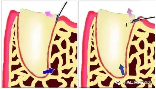 PKBEZ(D~T~FWEX{S3O_U06F.png PKBEZ(D~T~FWEX{S3O_U06F.png