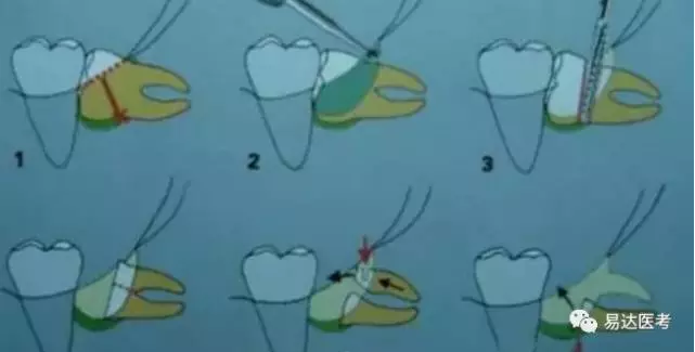 醫(yī)大口腔 每日一分.png 醫(yī)大口腔 每日一分.png