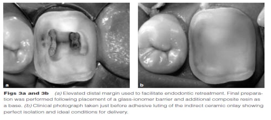 圖片3.png 圖片3.png