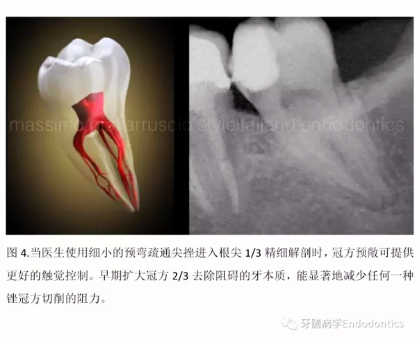 6.webp.jpg 6.webp.jpg