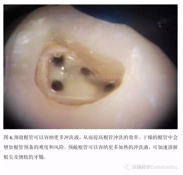 8.webp.jpg 8.webp.jpg