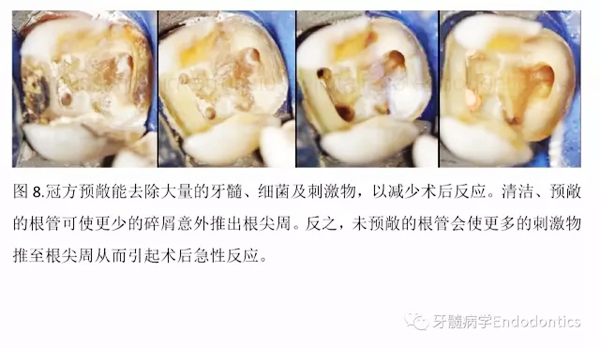 10.webp.jpg 10.webp.jpg