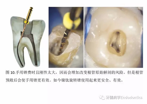 12.webp.jpg 12.webp.jpg