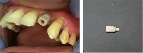 7.webp.jpg 7.webp.jpg