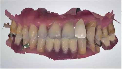 9.webp.jpg 9.webp.jpg