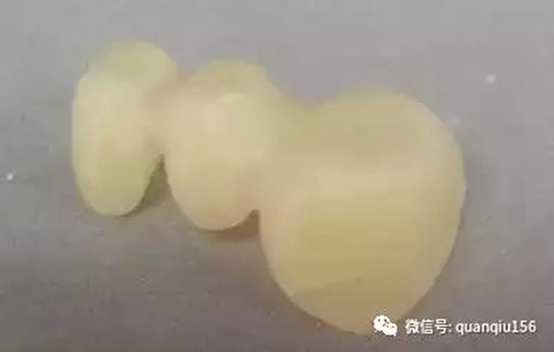 23.webp.jpg 23.webp.jpg