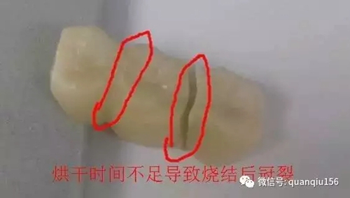 24.webp.jpg 24.webp.jpg