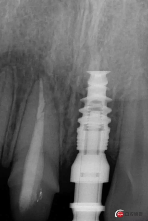 7.webp.jpg 7.webp.jpg