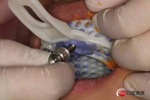 12.webp.jpg 12.webp.jpg