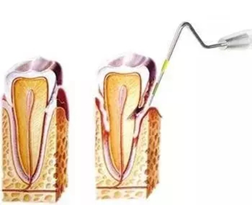 2.webp.jpg 2.webp.jpg