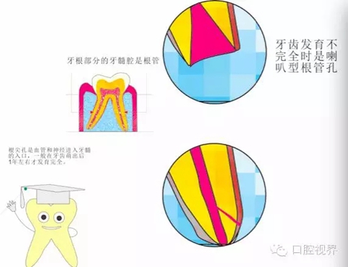 1.webp.jpg 1.webp.jpg