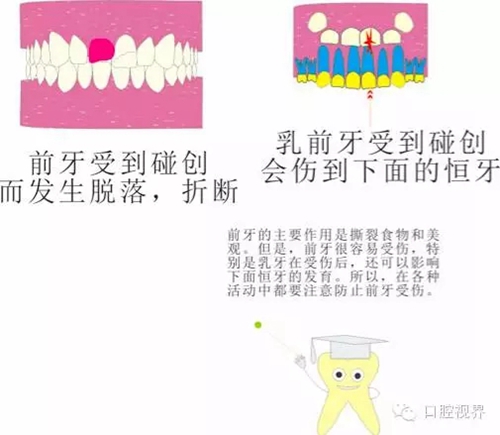 3.webp.jpg 3.webp.jpg