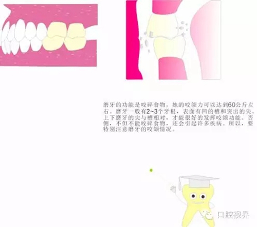 5.webp (1).jpg 5.webp (1).jpg