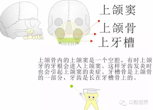 2.webp.jpg 2.webp.jpg