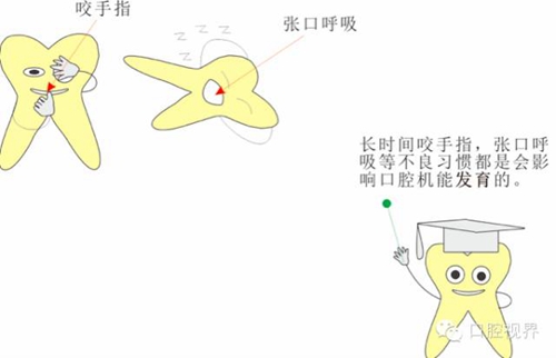 【愛牙科普知識300問】 &ldquo;什么是融合牙、愈合牙和雙生牙？&rdquo;