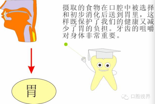 【口腔科普】愛牙從這里開始&mdash;&mdash;愛牙科普知識300問（連載四）