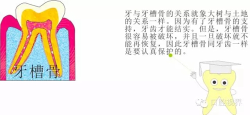 2.webp.jpg 2.webp.jpg