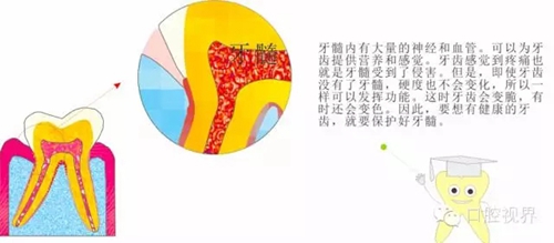 4.webp.jpg 4.webp.jpg