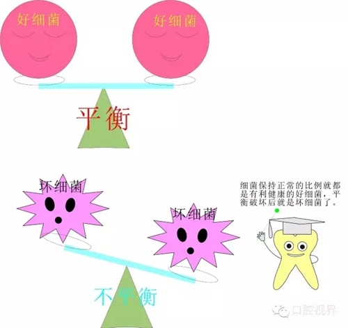 愛牙科普知識 愛牙科普知識