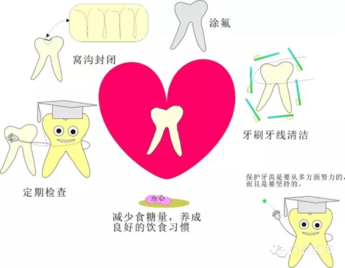 愛牙科普知識 愛牙科普知識