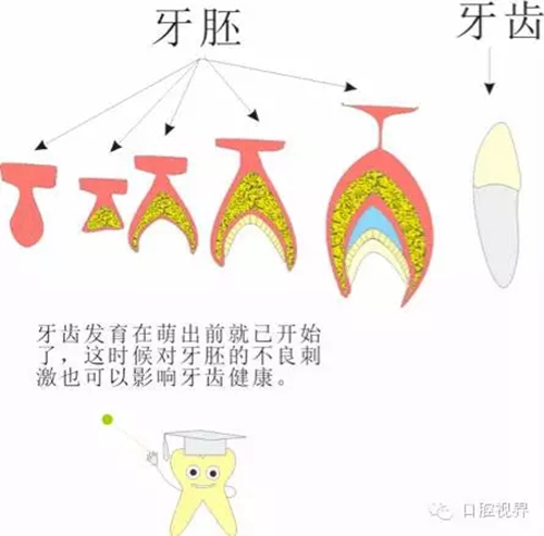 【口腔科普】愛(ài)牙從這里開(kāi)始&mdash;&mdash;愛(ài)牙科普知識(shí)300問(wèn)（連載五）