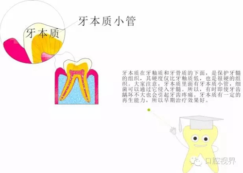 【口腔科普】愛(ài)牙從這里開(kāi)始&mdash;&mdash;愛(ài)牙科普知識(shí)300問(wèn)（連載五）