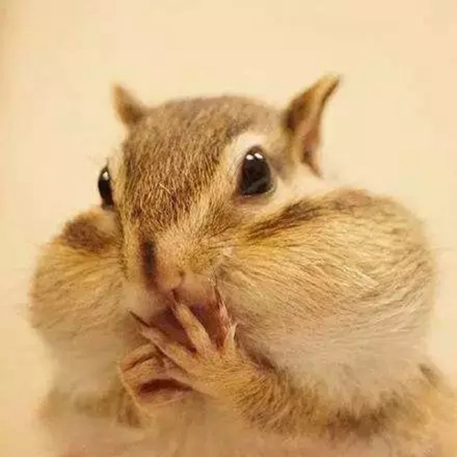 6.webp.jpg 6.webp.jpg