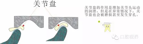 2.webp.jpg 2.webp.jpg