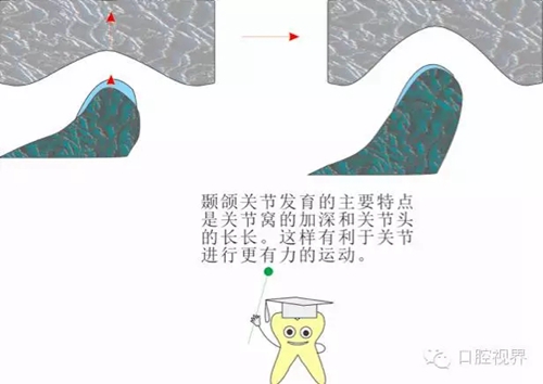 3.webp.jpg 3.webp.jpg